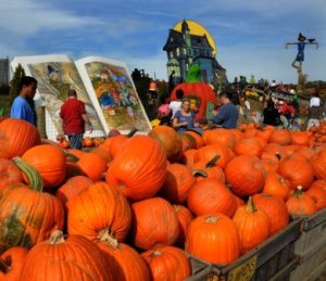 Linvila Pumpkin Patch near Philadelphis by R.Kennedy.