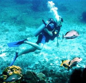 SCUBA Diving Cancun