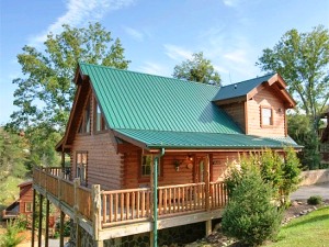 Alpine Mountain Village Family Reunion Cabin
