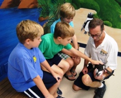 Aquarium of the Americas Peguin Encounter New Orleans Louisiana