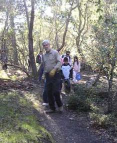 Petrified Forest Calistoga California