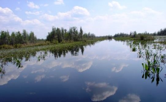 Okefenoke National Wildlife Refuge