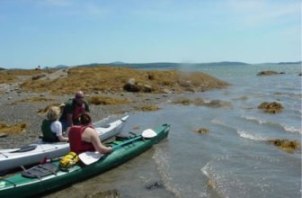 KAOBarHarborKayaks
