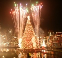 PF100WinterFestTree