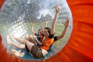 PigForge702PF702Zorb