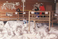 Click here to enlarge - Nebraska: Ashfall Fossil Beds State Historical Park.