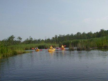 Eco Sport Back Bay Kayaking Virginia Beach