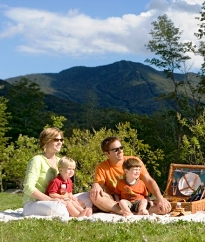 MountainTopsLandingPage