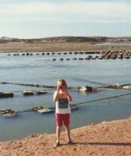 Puerto Penasco Mexico Oyster Beds