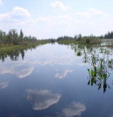 LPGAOkefenokee
