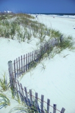 LPSCBeachFence