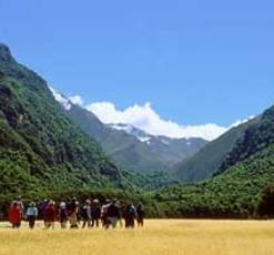 NewZealandLP