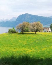 Lake Lucern, Lucern Switzerland